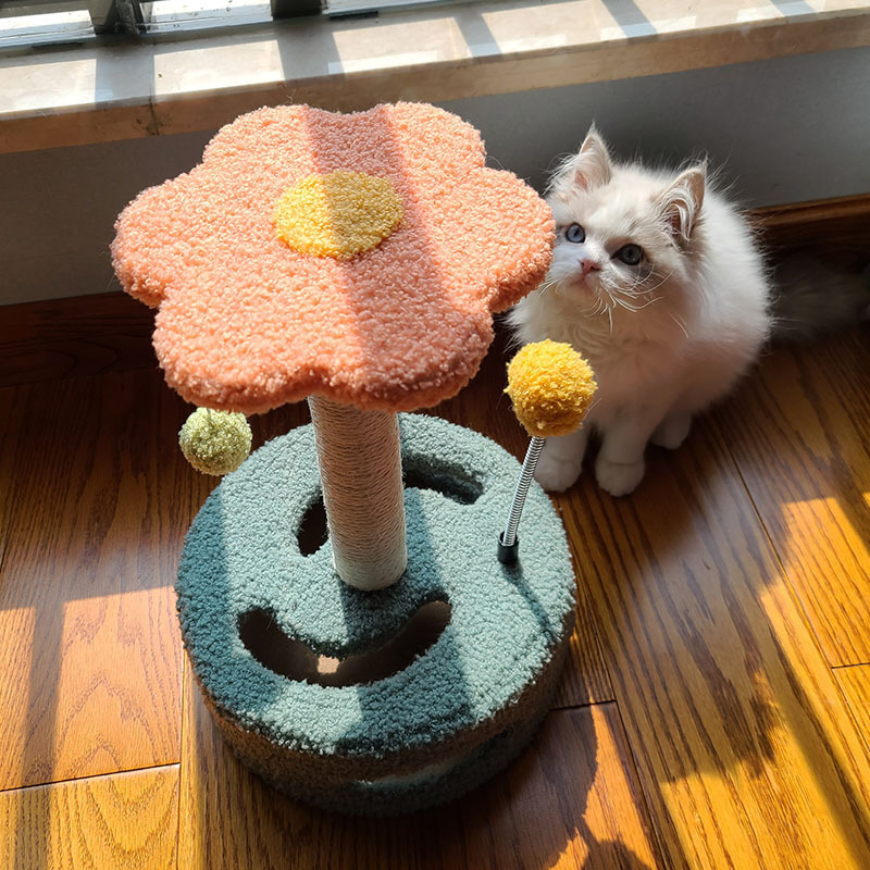 Pet newsletter